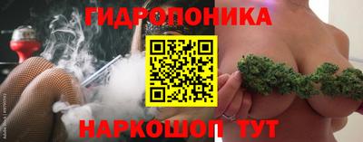 винт Будённовск
